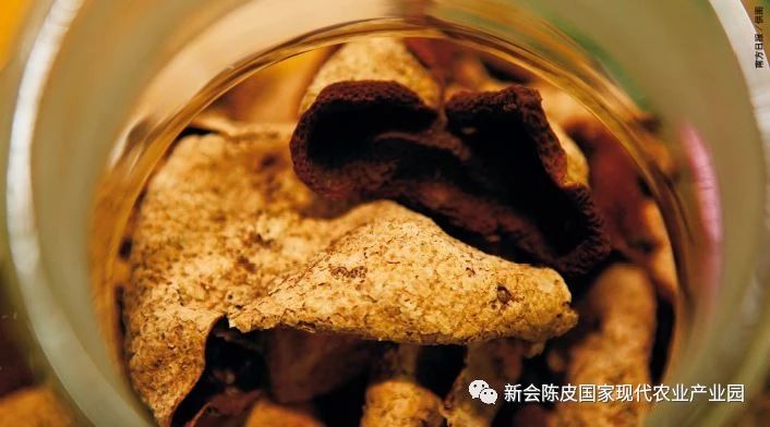 微信图片_20230413234331