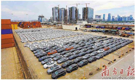 　　广东新能源汽车出口表现强劲。图为8月12日清晨，数百台新能源汽车从深圳大铲湾码头出口迪拜。南方日报记者鲁力通讯员吴丹摄
