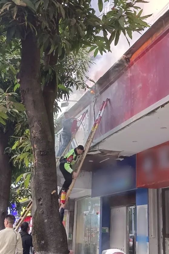 微信图片_20241226213645